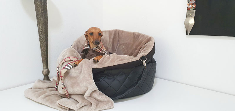 Canisenti Hundetasche